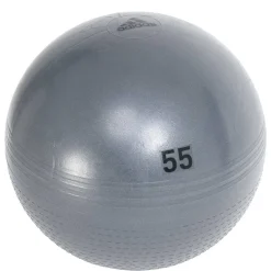 adidas Pelota de gimnasia 55 cm CK6273