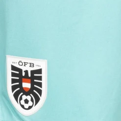 Austria ÖFB PUMA Player Issue Hombre Jugadores Pantalones cortos 759821-04