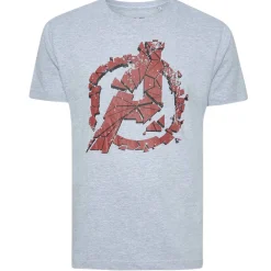 AVENGERS Marvel Endgame Quantum Hombre Camiseta FBMTS417SPO