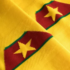 Camerún PUMA Medias de fútbol 752340-03