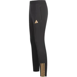 DFB Alemania adidas Hombre Pantalones de chándal HF3995