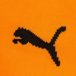 Grasshopper Club Zúrich PUMA Medias de fútbol 750313-02