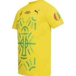 Guinea PUMA Hombre Camiseta 684569-01