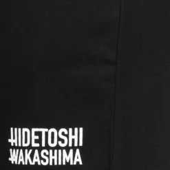 HIDETOSHI WAKASHIMA 