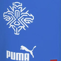 Islandia PUMA Hombre Player Issue Authentic Jugadores Pantalones cortos 705318-01