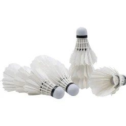 JELEX Fly High Volante de bádminton Set de 12