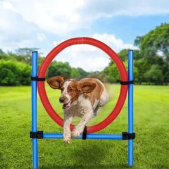 maxxpro Agilidad Spring Ring - Conjunto Agilidad para perros 47433