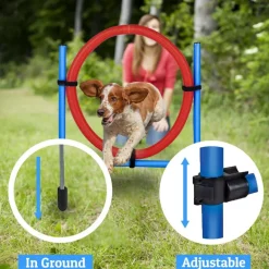 maxxpro Agilidad Spring Ring - Conjunto Agilidad para perros 47433