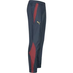 PSV Eindhoven PUMA Hombre Estadio Pantalón 773307-04
