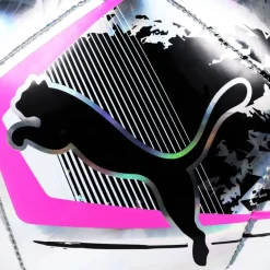 PUMA Cage Ball Balón de fútbol 084213-01