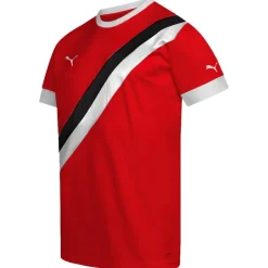 PUMA Hombre Camiseta 773344-01X