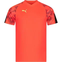 PUMA individualFINAL World Cup Hombre Camiseta 658211-48
