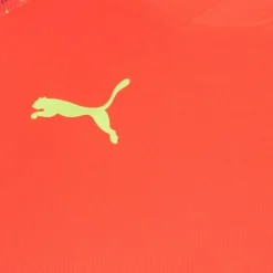 PUMA individualFINAL World Cup Hombre Camiseta 658211-48