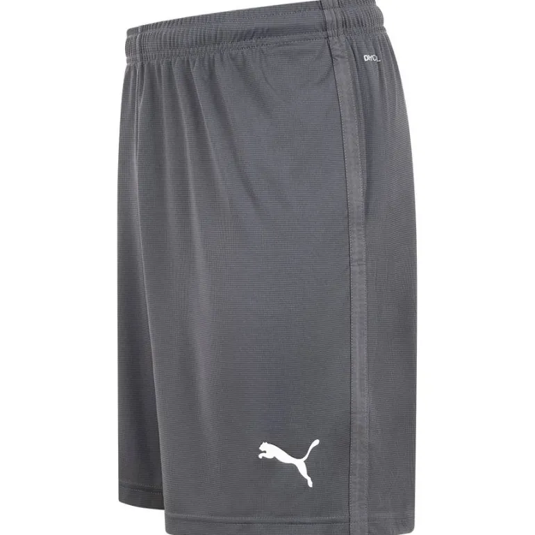 PUMA LIGA Training Core Hombre Pantalones cortos 655664-11