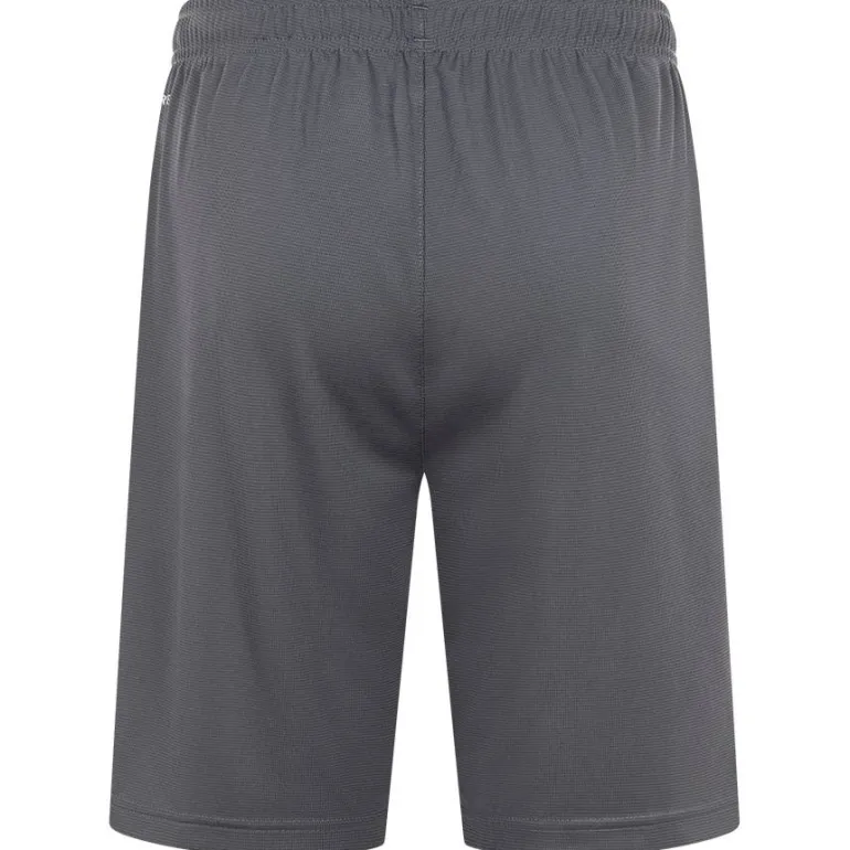 PUMA LIGA Training Core Hombre Pantalones cortos 655664-11