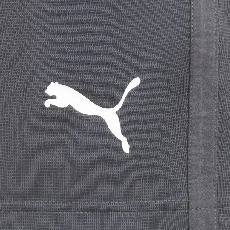 PUMA LIGA Training Core Hombre Pantalones cortos 655664-11