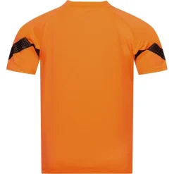 PUMA teamFINAL Hombre Camiseta 657379-21