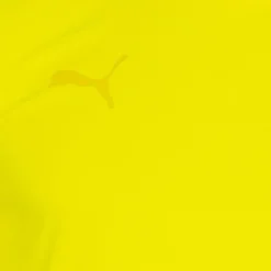 PUMA teamFLASH Hombre Camiseta 704394-23