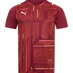 PUMA teamULTIMATE Jersey Hombre Camiseta 704389-09