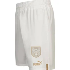 Serbia PUMA Hombre Pantalones cortos 765770-02