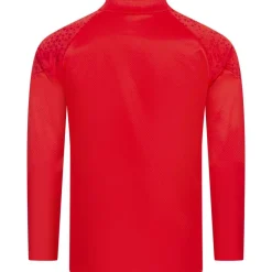 Stade Rennes FC PUMA Hombre Sudadera de entrenamiento 772433-01